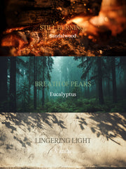 Ritvia Essential Oil Discovery Kit (Set of 3)